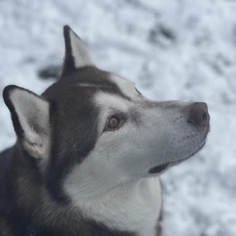 Github Yxyang Cajun - Best Gradient Patterns in 8K