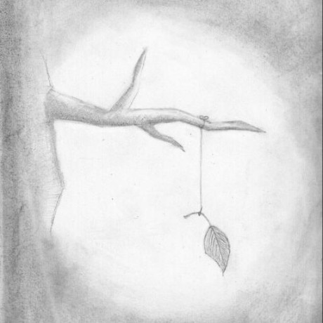 Bkeegan Brenton Keegan Github - Sunset Design Collection - Ultra HD Quality