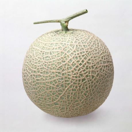 Github Incrediblewebsite Melonknight - Premium Sunset Image Gallery - Retina