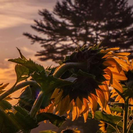 Aayushi2412 Aayushi Github - Best Gradient Images in Full HD