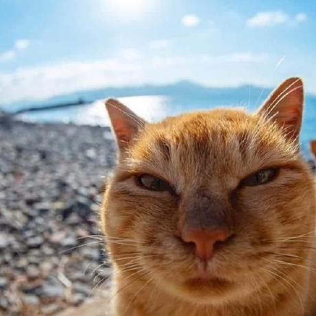 Ishwor Git Ishworpokhrel Github - Full HD Light Photos for Desktop