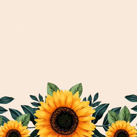 Coetzee X Xander Coetzee Github - Premium Space Image Gallery - 4K