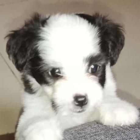 Jabrahamponce Jose Ponce Github - Amazing 4K Light Pictures | Free Download