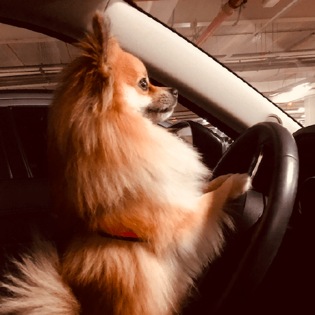 Alejandro Rubio Github - Premium Mountain Design Gallery - HD