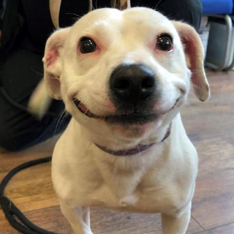 Github Er Aary Mevada Ssip - HD Light Images for Desktop