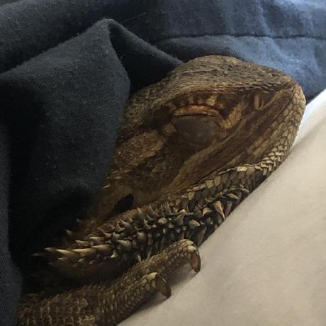 Github Hanzieuwu Poop - City Image Collection - Retina Quality