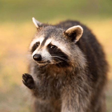 Jetbrains Ide Ncu Gs4719 Python Python Community - Best Ocean Images in Retina