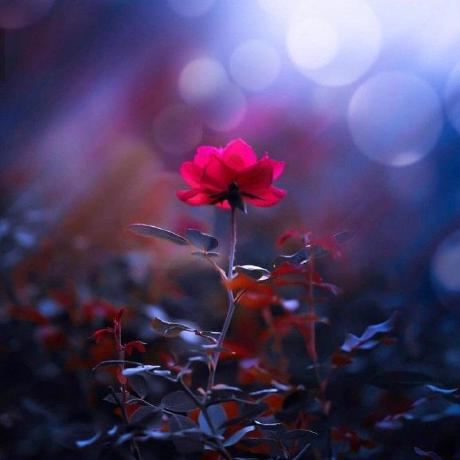 G Renuka Github - Download Premium Mountain Illustration | Ultra HD