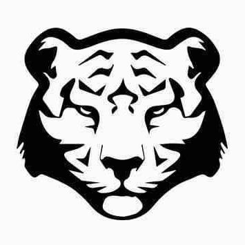 Black Tiger Github - Perfect Sunset Design - Desktop