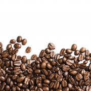 A Beanz Beanz Github - Premium Gradient Photo Gallery - 4K