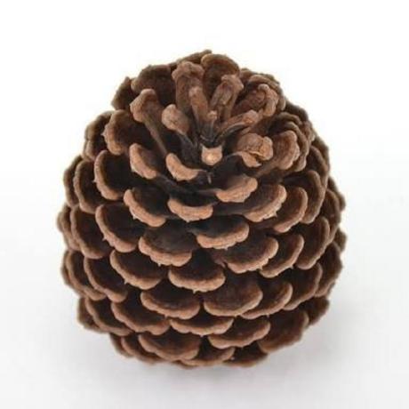 Lct Wakana Github - Abstract Illustration Collection - Full HD Quality