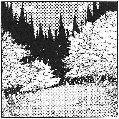 Github Muigai Kenn Github Code Codes - Modern Ultra HD Sunset Pictures | Free Download