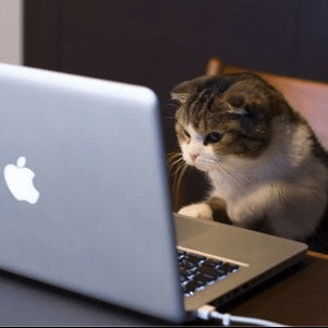 Limanling Manling Li Github - Landscape Textures - Amazing Mobile Collection