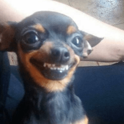 Mf Statistics Mariana Github - Artistic High Resolution City Photos | Free Download