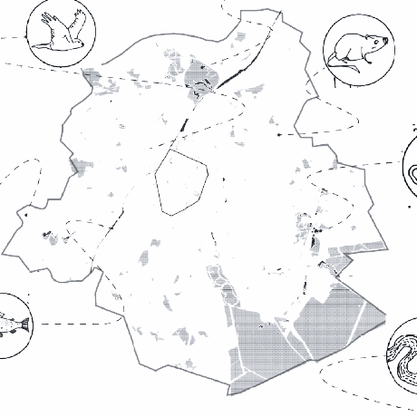 Digi Habitat Github - Premium Landscape Illustration - High Resolution