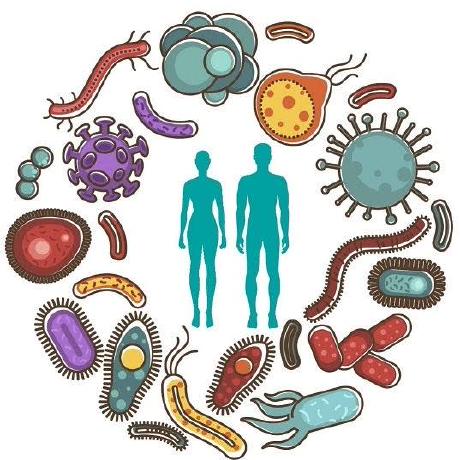 Janmeier Jan Aagaard Meier Github - Download High Quality Landscape Pattern | High Resolution