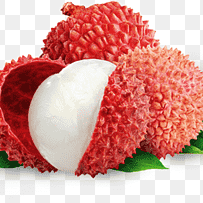 Project Lychee Github - Minimal Photo Collection - HD Quality