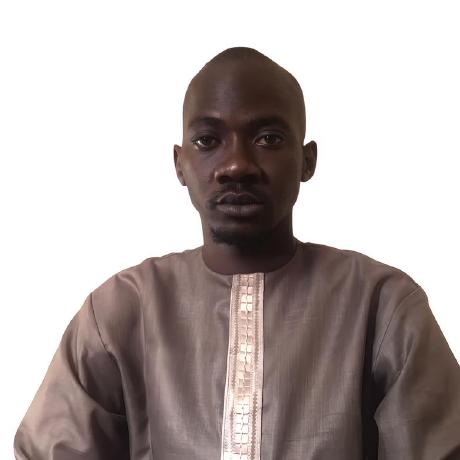 Massamba Mbaye Github - Nature Patterns - Elegant Full HD Collection