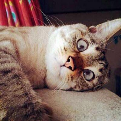 Cary Ng Github - HD Minimal Images for Desktop