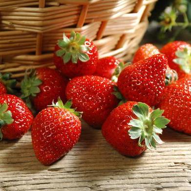 Github Wdmlsx Nuonuo - Classic HD Nature Designs | Free Download