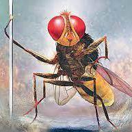 Github Prokash P Prokash - Ultra HD Sunset Wallpapers for Desktop