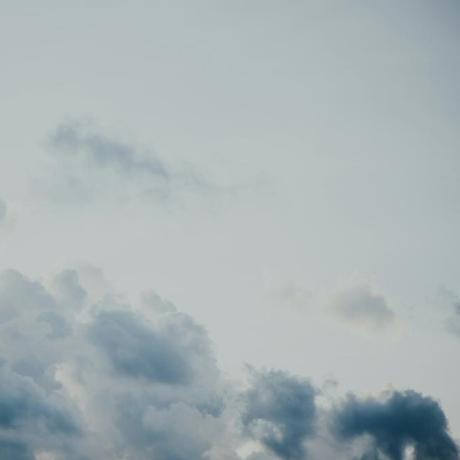 Darwinone Darwin Github - Creative Vintage Wallpaper - High Resolution