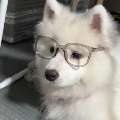 Jdluuu Jiadong Lu Github - Best Minimal Patterns in 8K