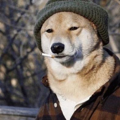 Rpribau Rob Github - Best Ocean Photos in Mobile