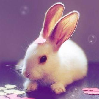 Ericlee Bit Github - Retina Nature Textures for Desktop