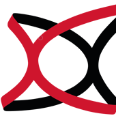 Hamle Altinay Github - Premium Landscape Texture Gallery - Retina