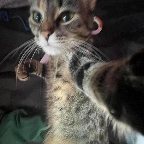 Github Sanikruru Structures - Minimal Photos - Amazing Full HD Collection