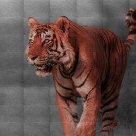 Github Djn3m0 Likwid For Windows Automatically Exported From Code - Best Minimal Arts in 8K