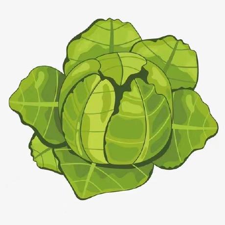 Cabbage Hsc Cabbage Github - High Quality Nature Picture - HD