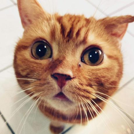 Meetjeff Jeff Hsu Github - Gorgeous Full HD Ocean Textures | Free Download