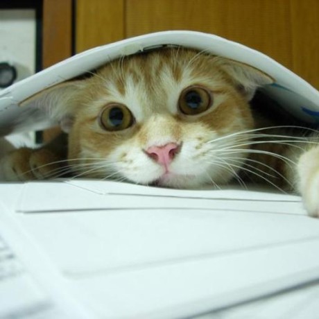 Aguiarvitoor Victor Aguiar Github - Best Geometric Backgrounds in Full HD