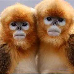 Github Vingpan Paper Implementations Implementation Of Interesting - Best Light Pictures in Mobile