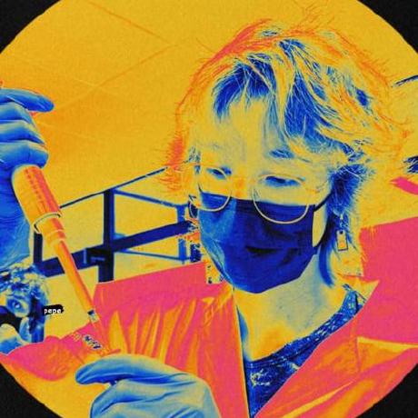 Hosoi Kohei Github - 4K Nature Illustrations for Desktop