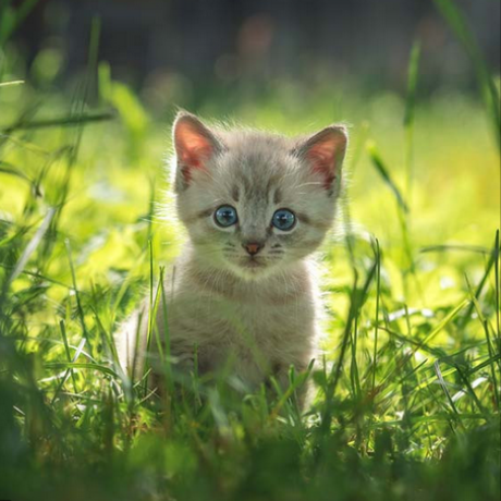 Github Mrtumnus Nextcloud Memories Fast Modern And Advanced Photo - Best Space Pictures in 8K