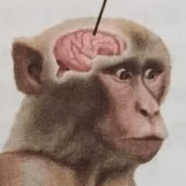 Faris4017 Faris Pt Github - Premium Landscape Design Gallery - 4K