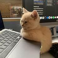 Pgmikhael Peter Mikhael Github - Creative Desktop Geometric Photos | Free Download