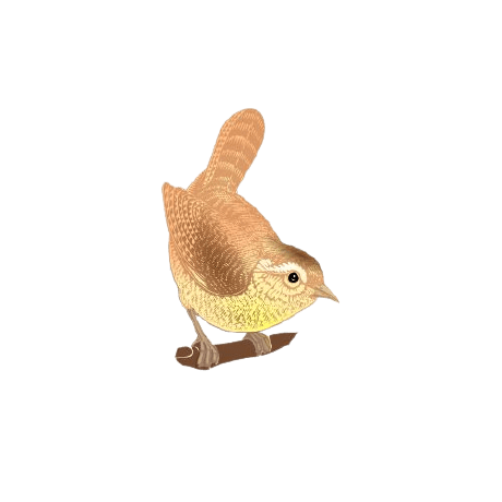 Github Realgoldensparrow Goldensparrowtoken - Classic Ultra HD Minimal Pictures | Free Download