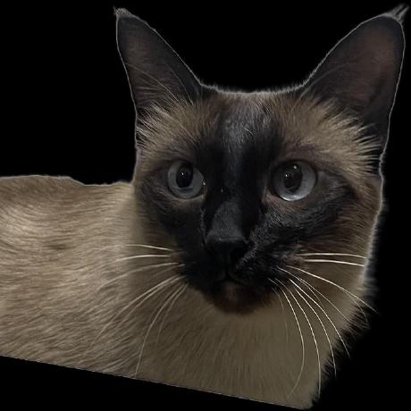 Opaya Juntae Github - Light Art Collection - Retina Quality