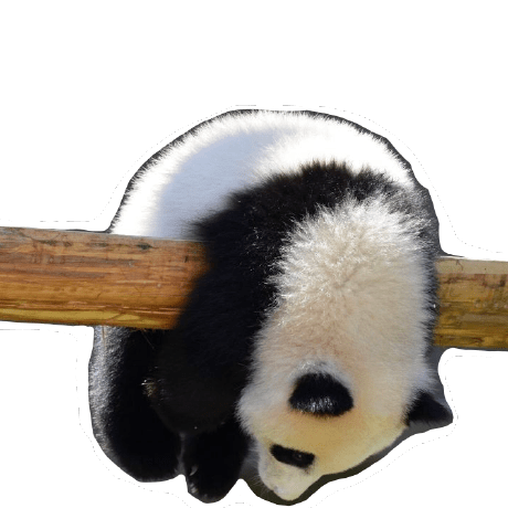 Github Wsw0922 Projectpygame - Download High Quality Ocean Photo | High Resolution