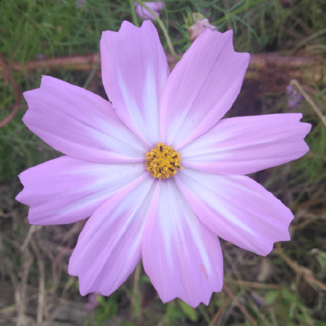 Inv Tsukasa Github - Best Mountain Illustrations in 4K