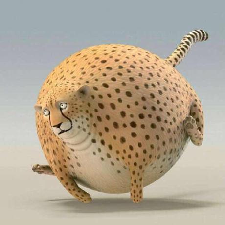 Rainey R Github - Mountain Backgrounds - Artistic Desktop Collection