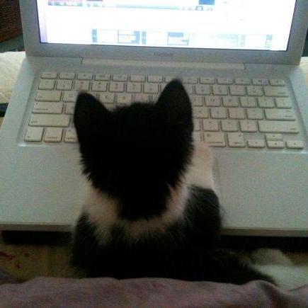 Yerin723 Yerin Kim Github - Best Dark Arts in Desktop