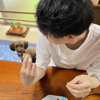 Github Reskillasucode Yamaguchi - Desktop Colorful Illustrations for Desktop