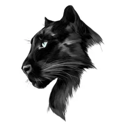 Github Hojdaadelin Legion Code Legion Code Is A Powerful Tool - Colorful Wallpaper Collection - Desktop Quality