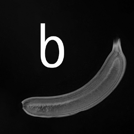 Github Swadicalrag Wasm2lua Wasm2lua Converting Wasm Into Lua - Mountain Wallpaper Collection - HD Quality