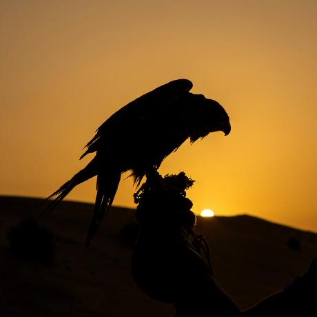 Github Aneagoie Portfo - Premium City Picture Gallery - HD